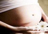 Gỉai thích vì sao hồng xiêm lại rất tốt cho bà bầu? Gỉai thích vì sao hồng xiêm lại rất tốt cho bà bầu?